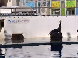 伊豆・三津シーパラダイスに投稿された画像（2025/12/7）