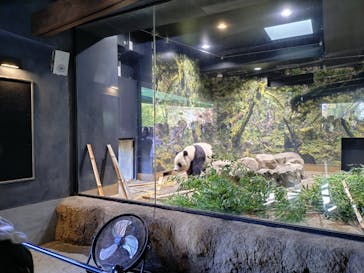 恩賜上野動物園に投稿された画像（2025/12/7）