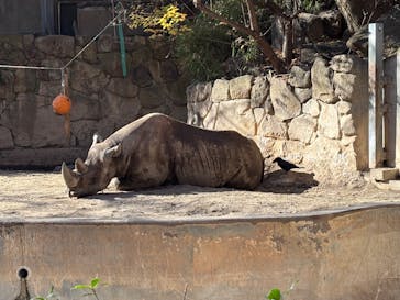 恩賜上野動物園に投稿された画像（2025/12/7）