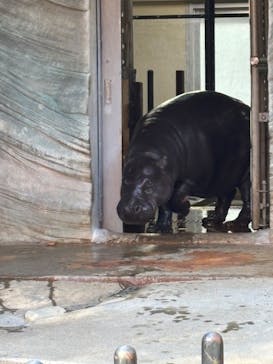 恩賜上野動物園に投稿された画像（2025/12/7）