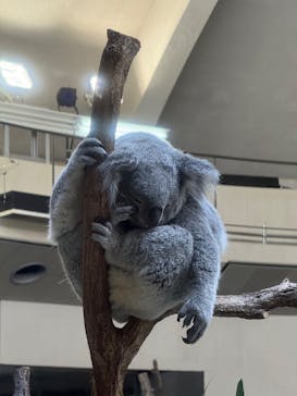多摩動物公園に投稿された画像（2025/12/7）