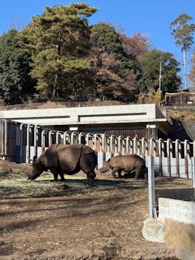 多摩動物公園に投稿された画像（2025/12/7）