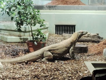 名古屋市東山動植物園に投稿された画像（2025/12/7）