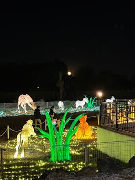 東武動物公園に投稿された画像（2025/12/7）