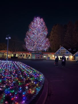 東武動物公園に投稿された画像（2025/12/7）