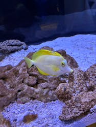 すみだ水族館に投稿された画像（2025/12/7）