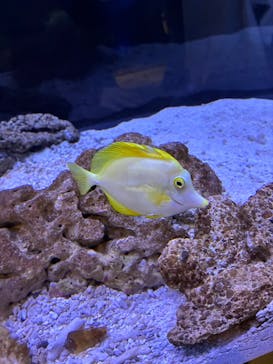すみだ水族館に投稿された画像（2025/12/7）