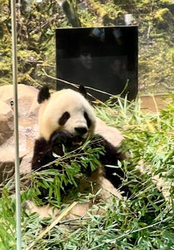 恩賜上野動物園に投稿された画像（2025/12/7）