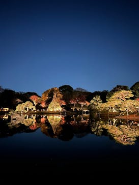 国営昭和記念公園 秋の夜散歩に投稿された画像（2025/12/7）