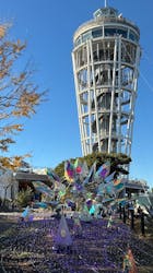 江の島シーキャンドル×新江ノ島水族館に投稿された画像（2025/12/7）