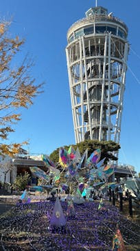 江の島シーキャンドル×新江ノ島水族館に投稿された画像（2025/12/7）
