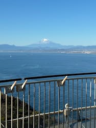 江の島シーキャンドル×新江ノ島水族館に投稿された画像（2025/12/7）