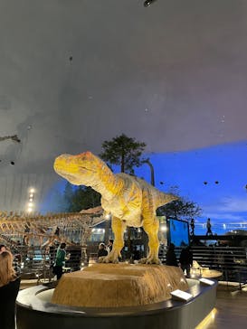 福井県立恐竜博物館に投稿された画像（2025/12/7）