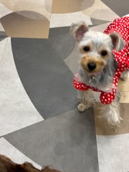 いぬカフェRio ゆめタウン佐賀店に投稿された画像（2025/12/7）