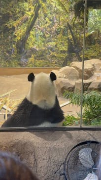 恩賜上野動物園に投稿された画像（2025/12/7）