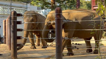 恩賜上野動物園に投稿された画像（2025/12/7）
