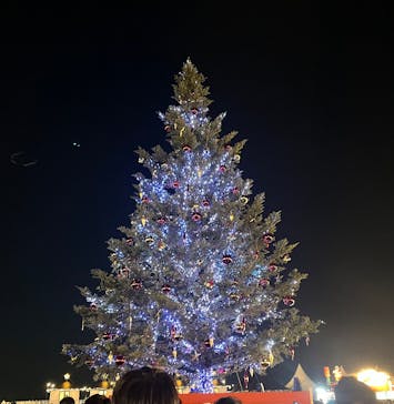 Christmas Market in 横浜赤レンガ倉庫 2025に投稿された画像（2025/12/7）