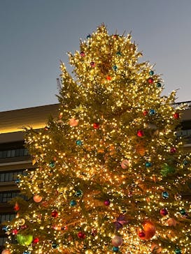 Christmas Market in 横浜赤レンガ倉庫 2025に投稿された画像（2025/12/7）