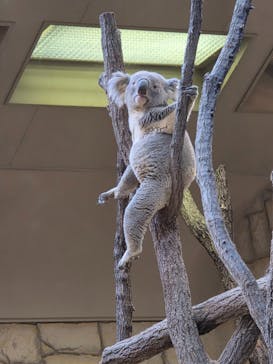 名古屋市東山動植物園に投稿された画像（2025/12/7）