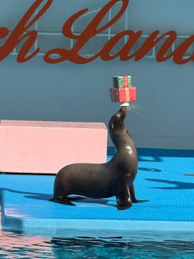 南知多ビーチランド＆南知多おもちゃ王国に投稿された画像（2025/12/7）