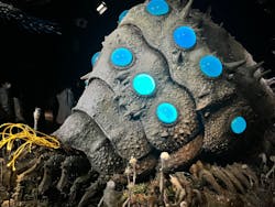 金曜ロードショーとジブリ展（静岡展）に投稿された画像（2025/12/7）