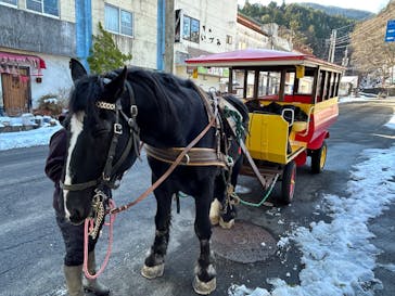 那須塩原市観光局に投稿された画像（2025/12/7）