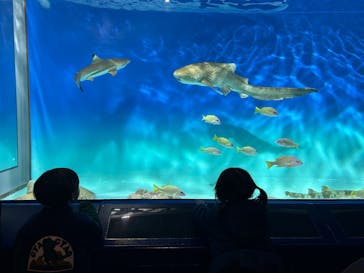 アクアワールド茨城県大洗水族館に投稿された画像（2025/12/7）
