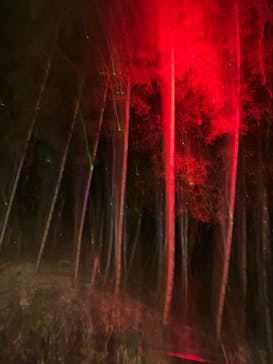 ニジゲンノモリに投稿された画像（2025/12/7）