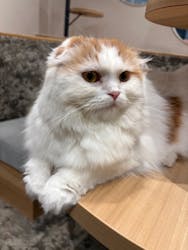 いぬカフェRio イオンモール常滑店に投稿された画像（2025/12/7）