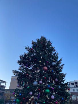 Christmas Market in 横浜赤レンガ倉庫 2025に投稿された画像（2025/12/7）
