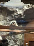 恩賜上野動物園に投稿された画像（2025/12/7）