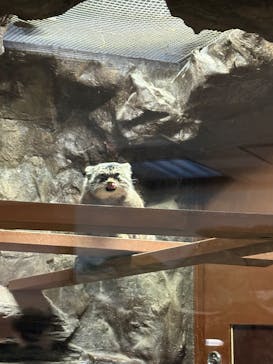 恩賜上野動物園に投稿された画像（2025/12/7）