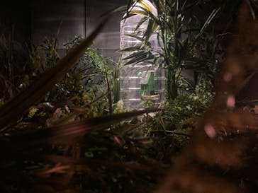 Mozuミニチュア展　ようこそ、ちいさな世界へ。in 銀座（銀座三越）に投稿された画像（2025/12/7）