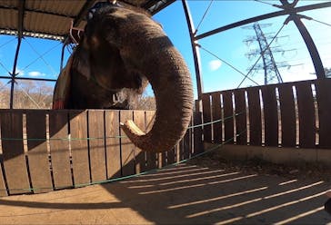 那須ワールドモンキーパークに投稿された画像（2025/12/7）