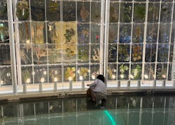 国立科学博物館に投稿された画像（2025/12/7）