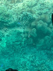 川平マリンサービスに投稿された画像（2025/12/7）