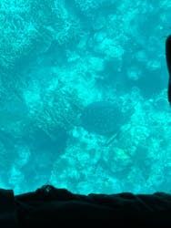 川平マリンサービスに投稿された画像（2025/12/7）