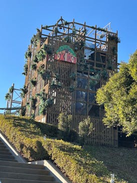 モビリティリゾートもてぎに投稿された画像（2025/12/7）