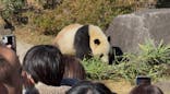 恩賜上野動物園に投稿された画像（2025/12/7）