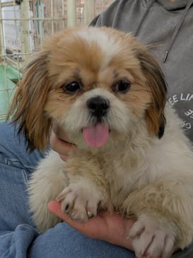 つくばわんわんランドに投稿された画像（2025/12/7）