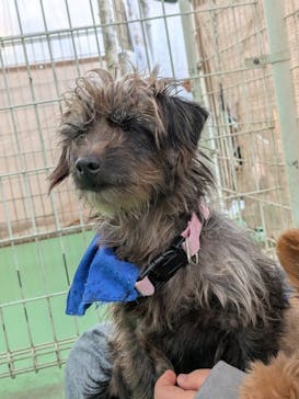 つくばわんわんランドに投稿された画像（2025/12/7）