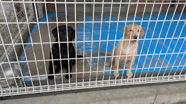 つくばわんわんランドに投稿された画像（2025/12/7）