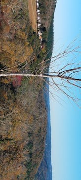 マザー牧場に投稿された画像（2025/12/7）