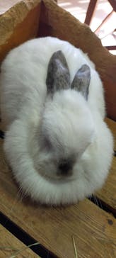 マザー牧場に投稿された画像（2025/12/7）