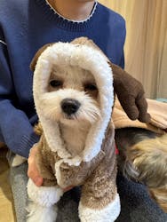 いぬカフェRio 下北沢店に投稿された画像（2025/12/7）