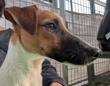 つくばわんわんランドに投稿された画像（2025/12/7）