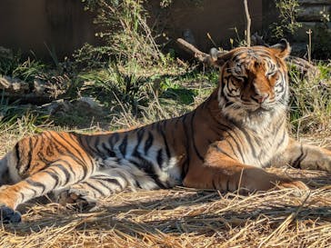 日立市かみね動物園に投稿された画像（2025/12/7）