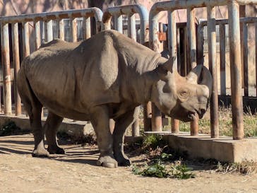 日立市かみね動物園に投稿された画像（2025/12/7）