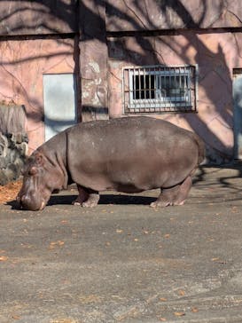 日立市かみね動物園に投稿された画像（2025/12/7）