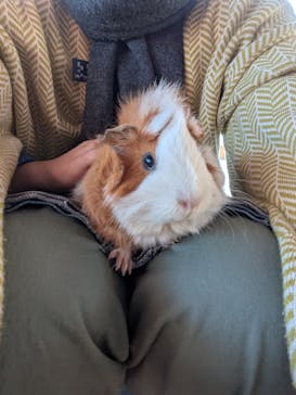 日立市かみね動物園に投稿された画像（2025/12/7）